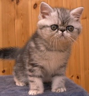 Felicity